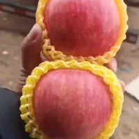 山東紅富士蘋果批發(fā) 條紋 全紅果 產(chǎn)地批發(fā)全國(guó)代發(fā)