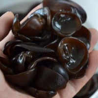 木耳批發新貨東北特產黑木耳干貨肉厚無根小碗耳椴
